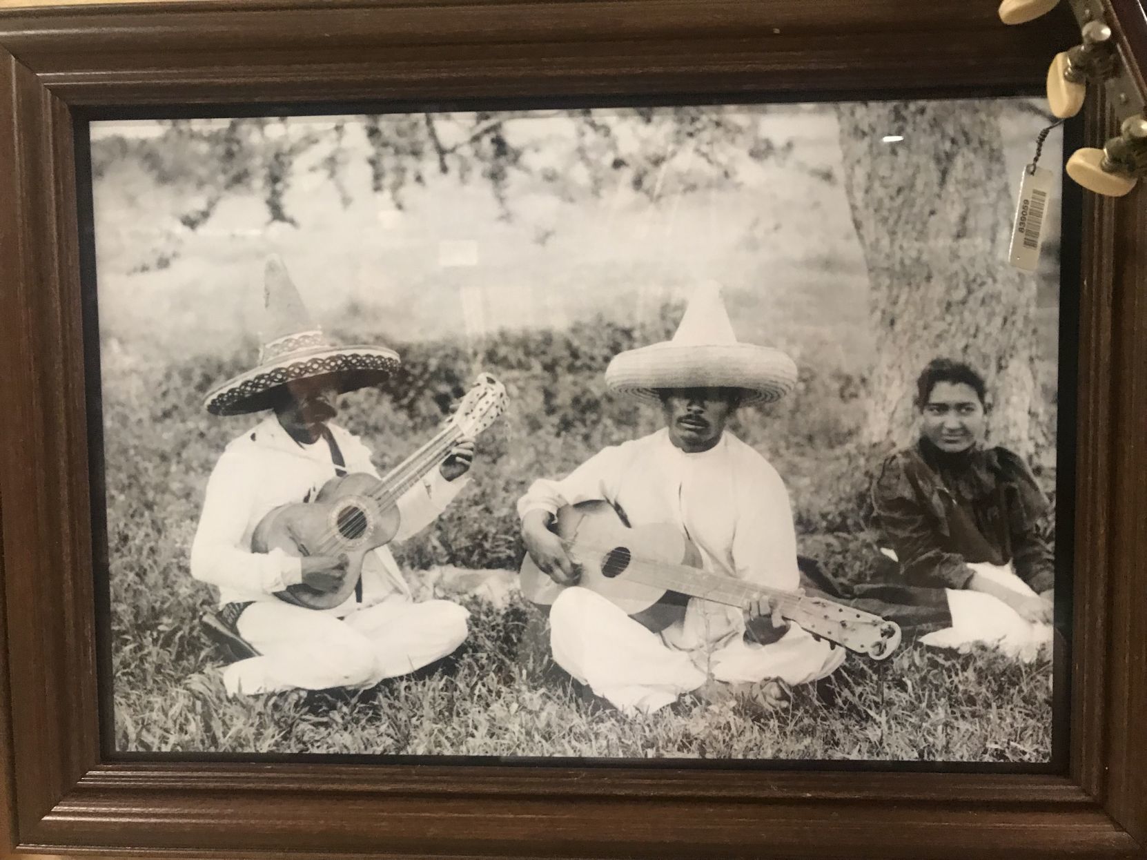 Hispanic heritage_ music portrait.jpg